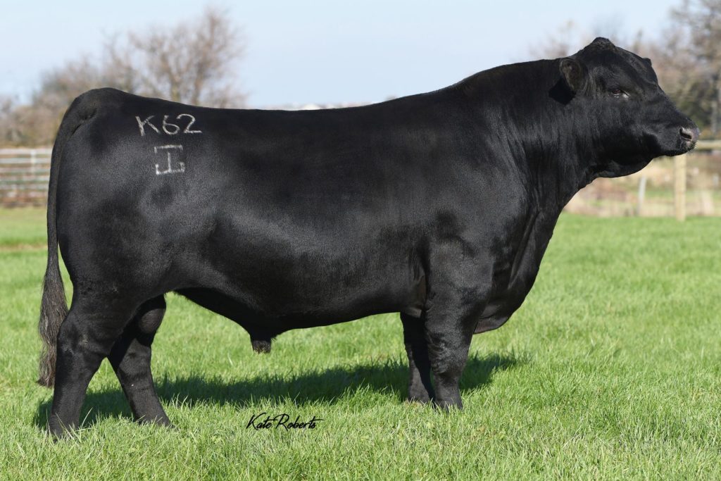 america！shihara シハラ square pierce 7 Pier Seven And Transamerica Pyramid by Alexander Spatari