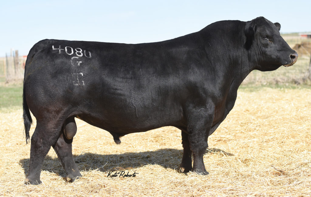 ☆A Grade Beef☆ G-rap ☆A Grade Beef☆ G-rap ☆A Grade Beef☆ G-rap The BIGGEST