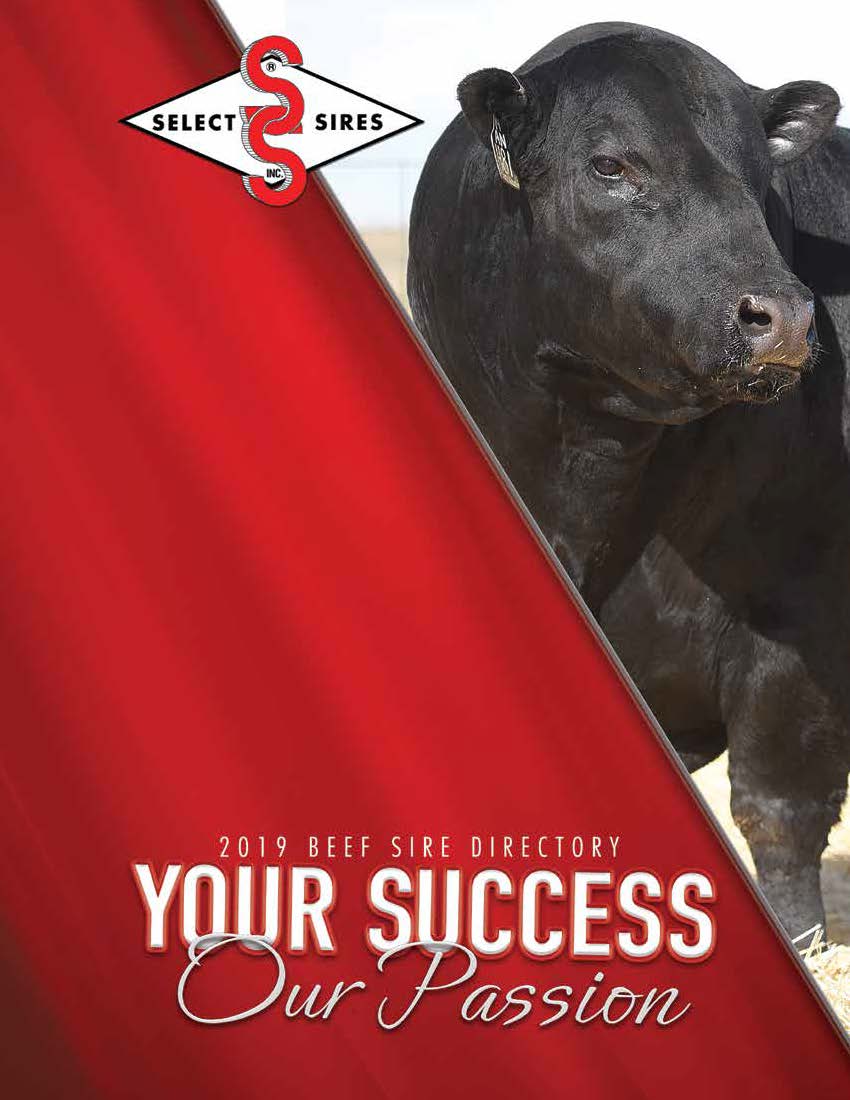 Select Sires Beef