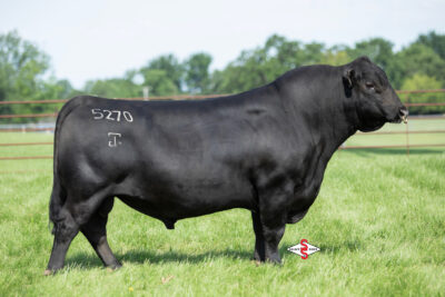 G A R Coldwater 5270
