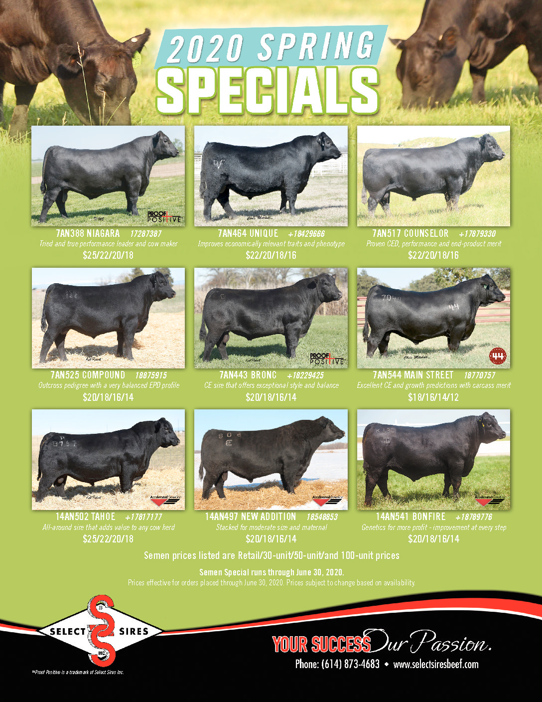 Flyers Select Sires Beef