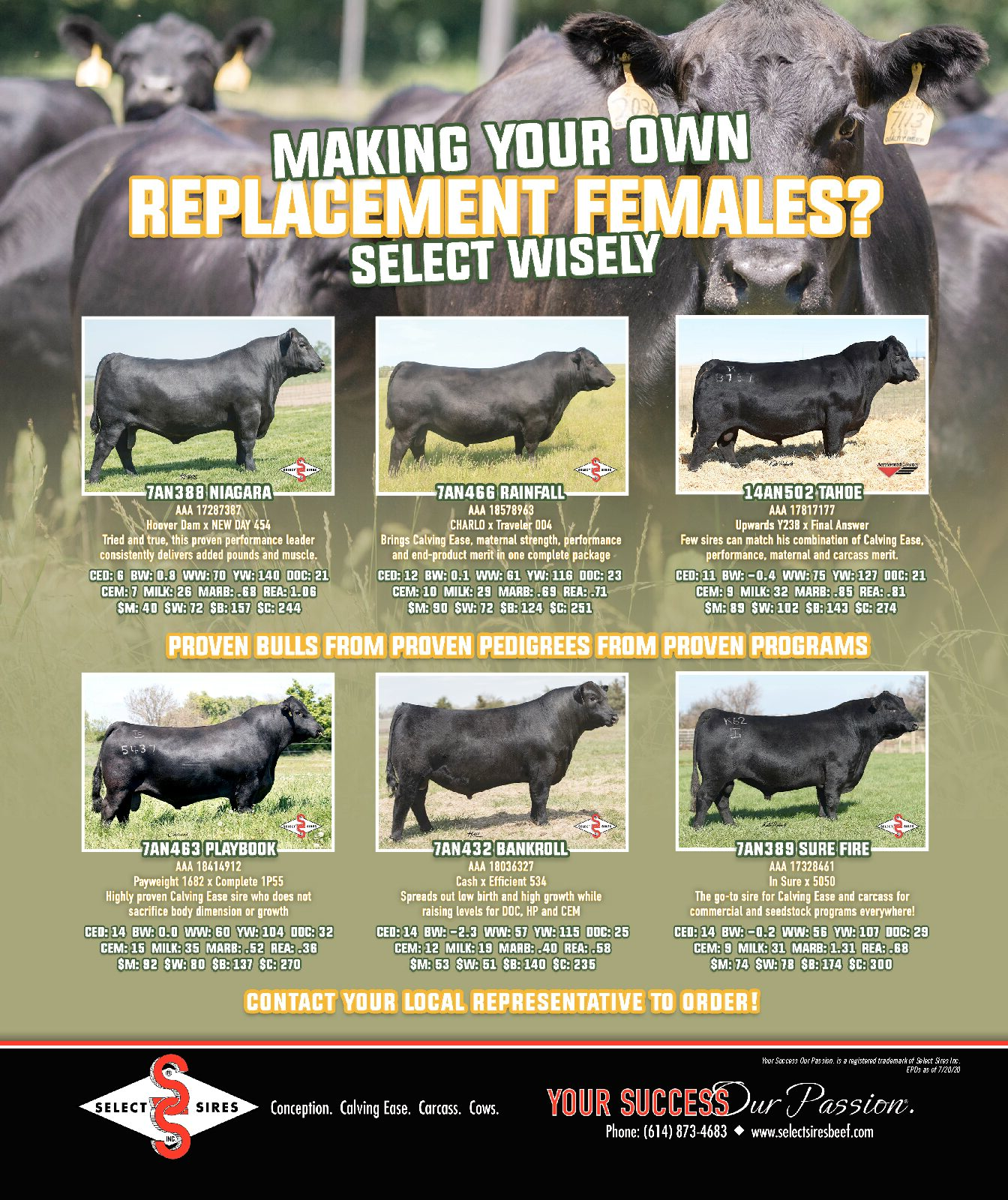 Flyers Select Sires Beef