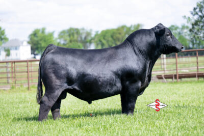 PVF Marvel 9185