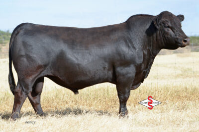 Select Sires Beef