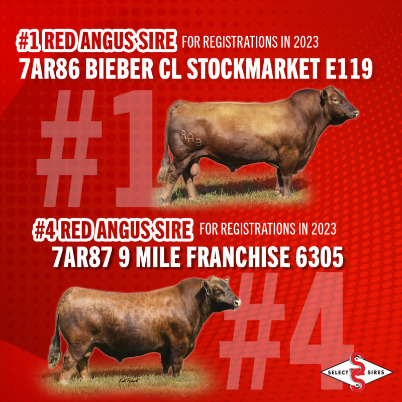 Select Sires Beef