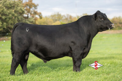 Riverbend Black Label J1810