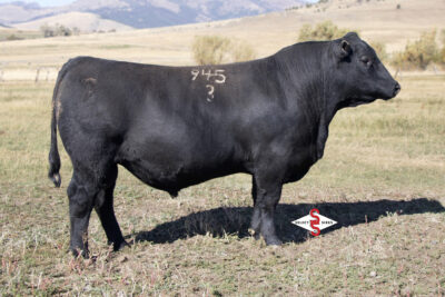 SITZ Contractor 9453