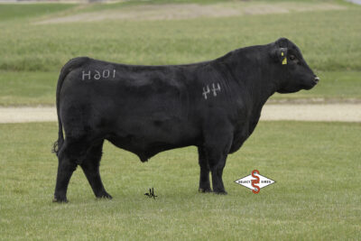 44 Ruler 106H