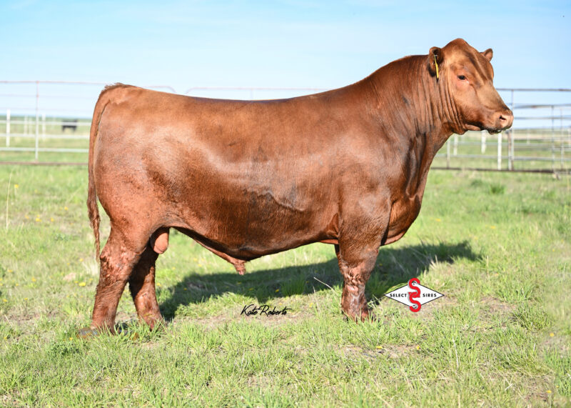 7AR115 LEVERAGE SPRING 2025-LOGO