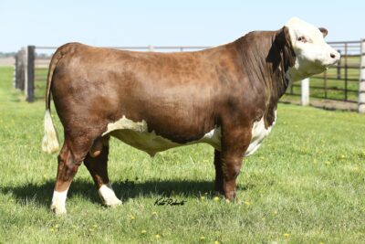Huth Velocity F023
