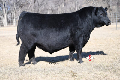 S A V Beneficial 4253