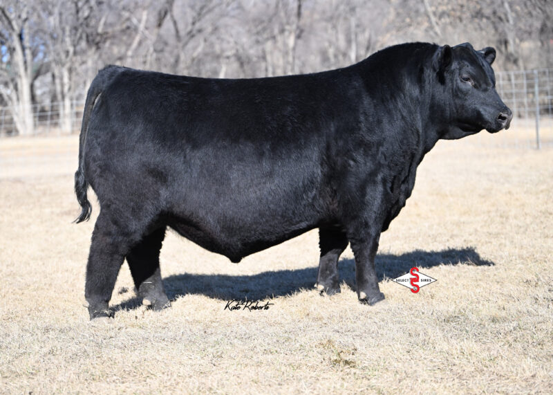 7AN880_BENEFICIAL-LOGO