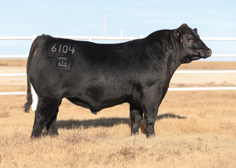 GAR STAPLETON 6104-RIGHT-DEC 2025