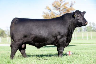 Myers Connection M214