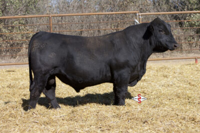 LCDR Marshal Dillon 23M