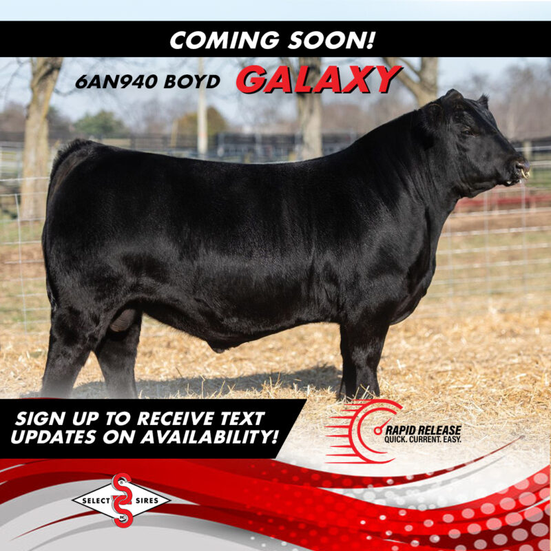 RAPID RELEASE COMING SOON – GALAXY (1080X1080)