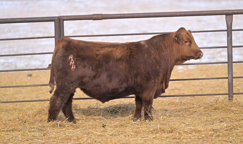 LOT 24_N660