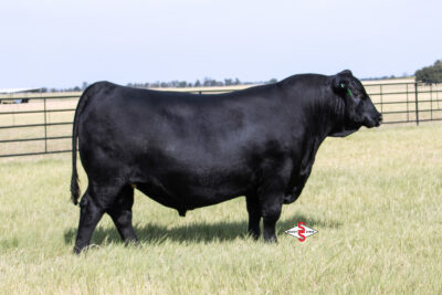 Wilks Winstar 4057